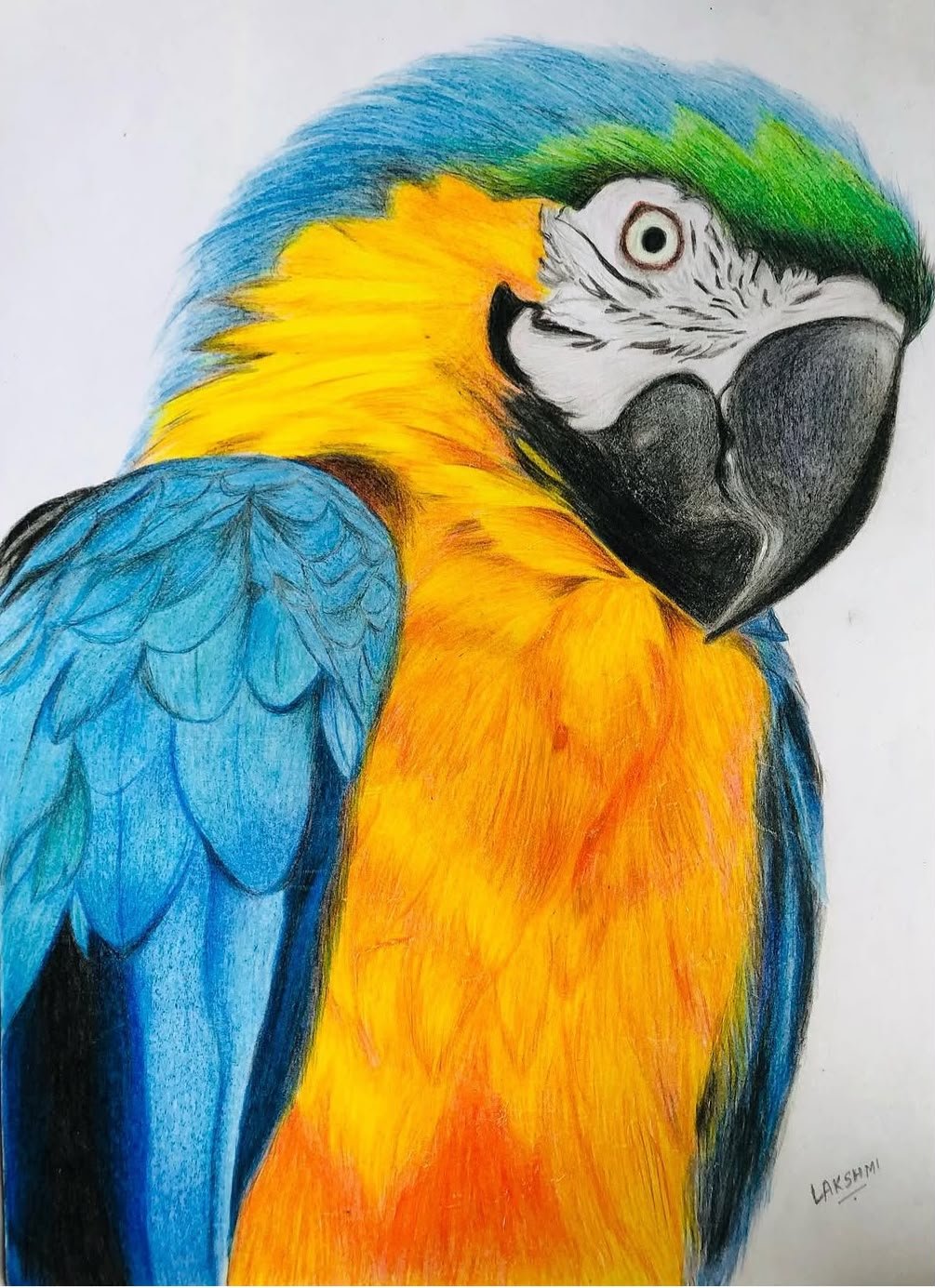 Portrait of Lakshmi Sridhar