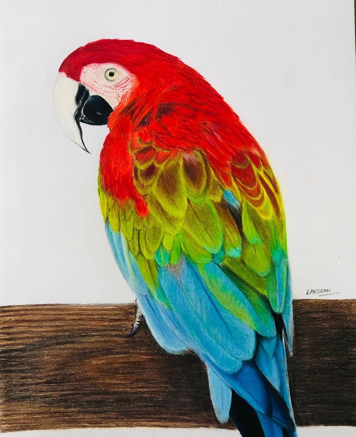 Artwork by Lakshmi Sridhar