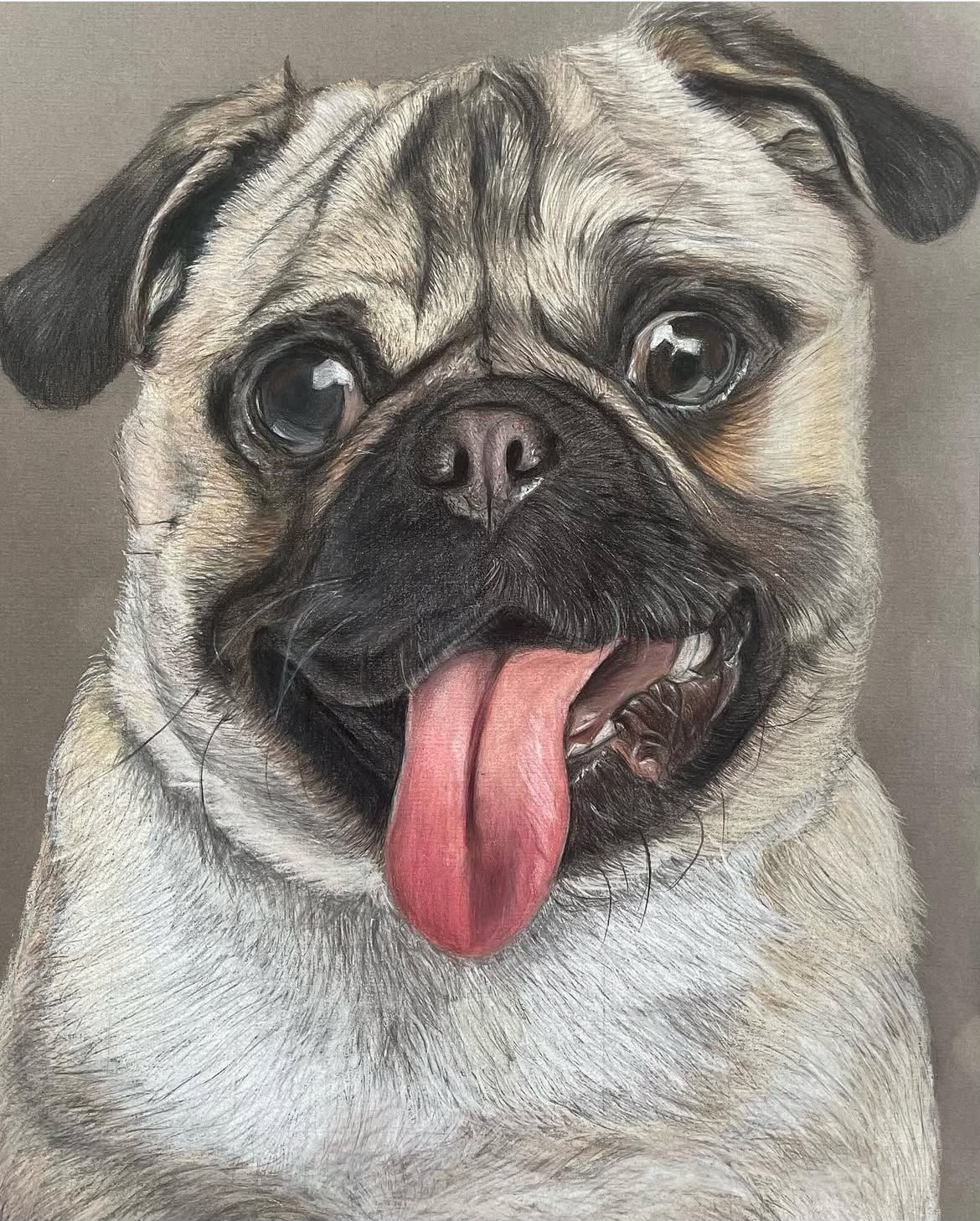 The Pug — artwork by Lakshmi Sridhar